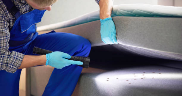 Best Pest Control Near Me in Gibsonville, NC
