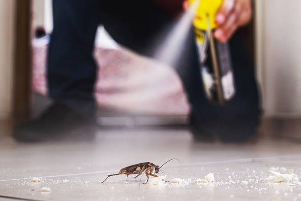 Best Residential Pest Control  in Gibsonville, NC