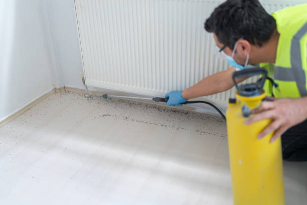 Best Cockroach Control Services  in Gibsonville, NC